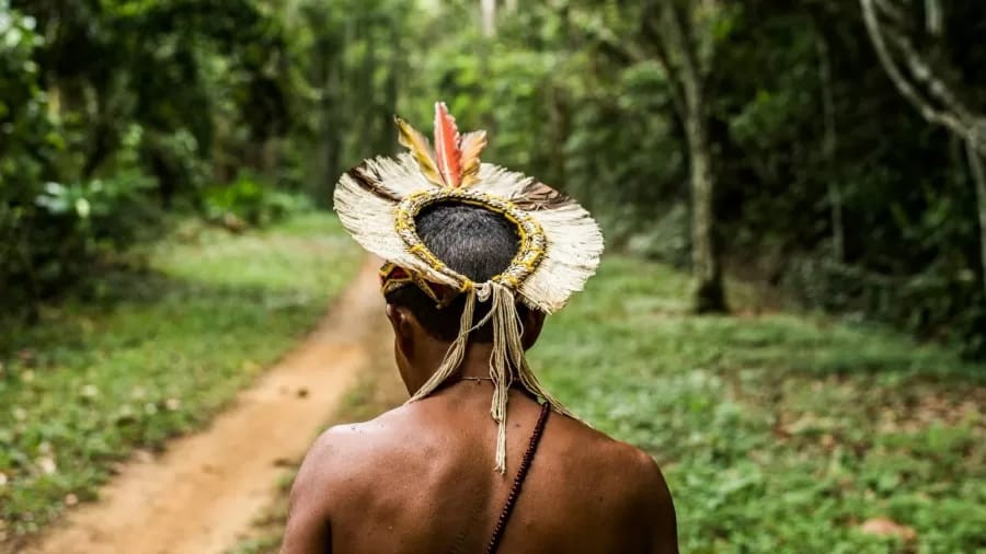 APIB, APOINME e organizações parceiras acionam Comissão Interamericana de Direitos Humanos para exigir a proteção da vida do povo Pataxó 