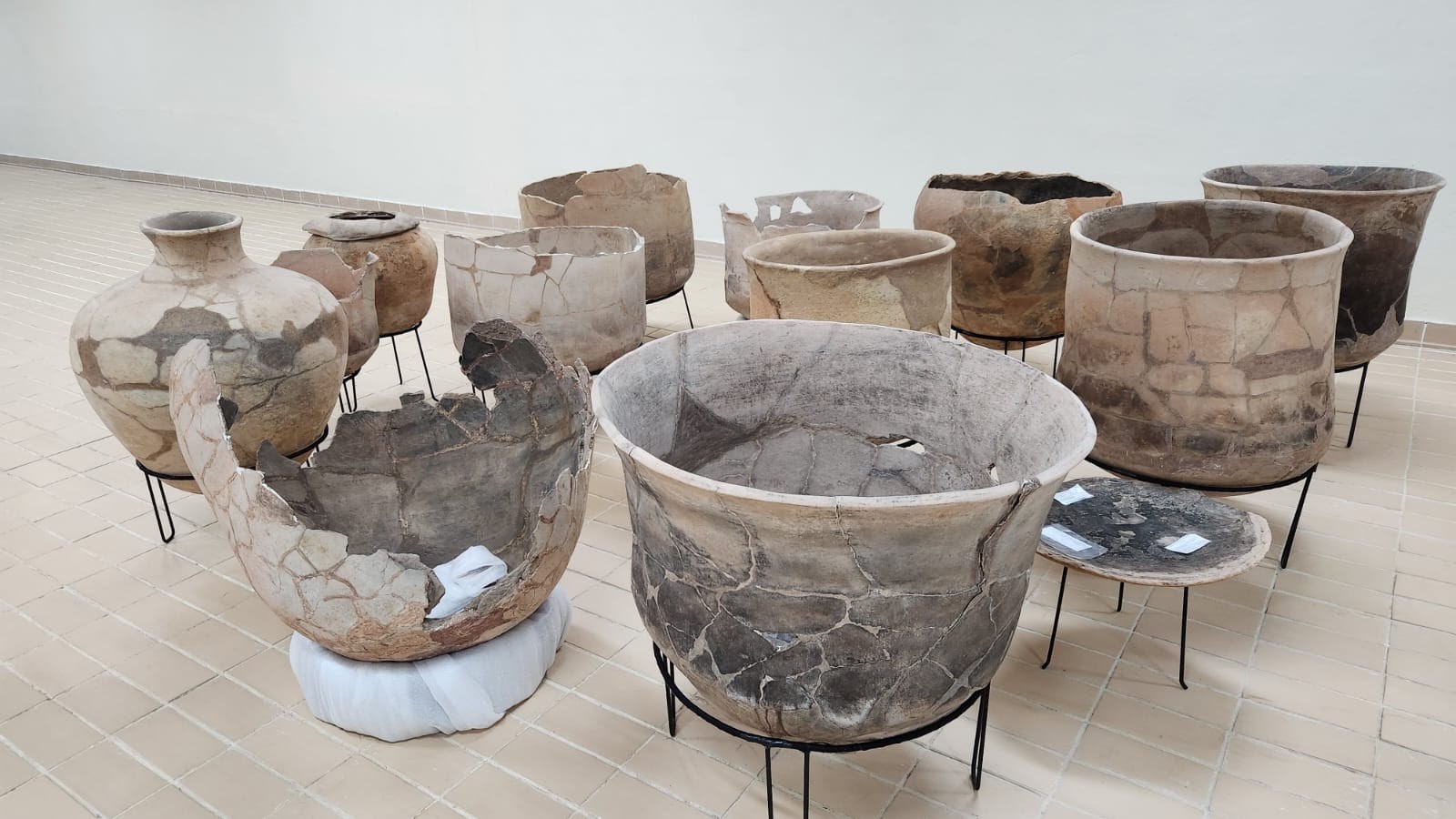 Instituição inaugura exposição com 390 mil itens, algumas peças de 10 mil anos