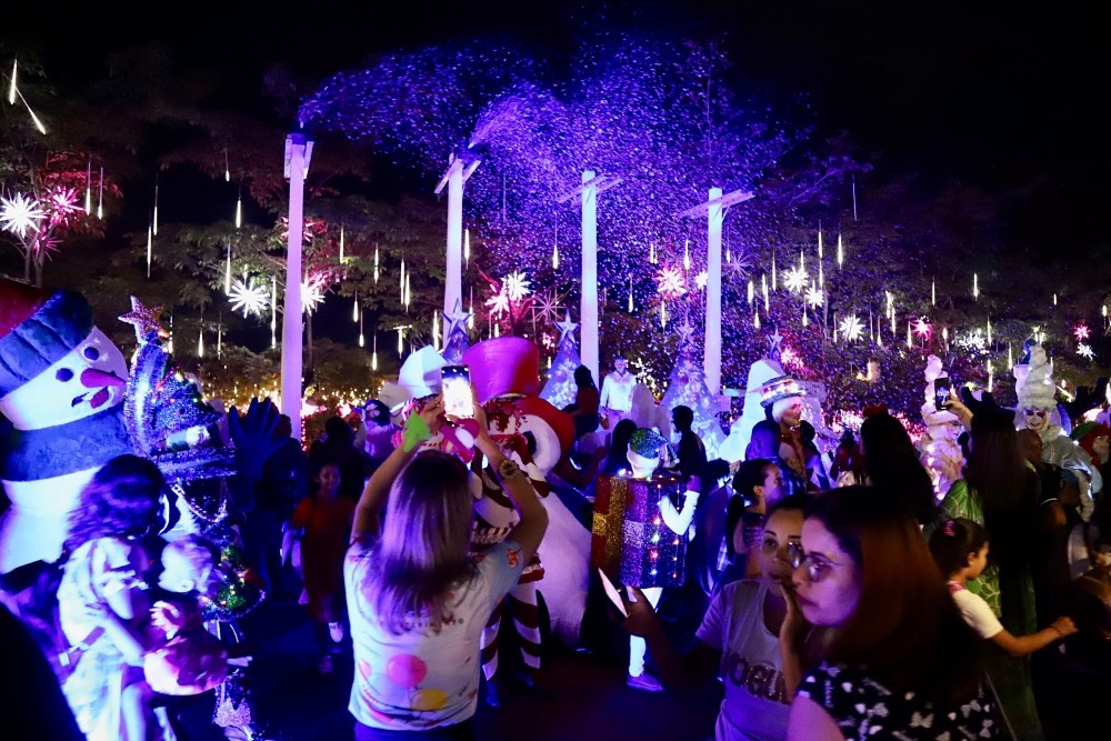 Ieda Chaves participa da cerimônia de acendimento das luzes do Natal Porto Luz 2023