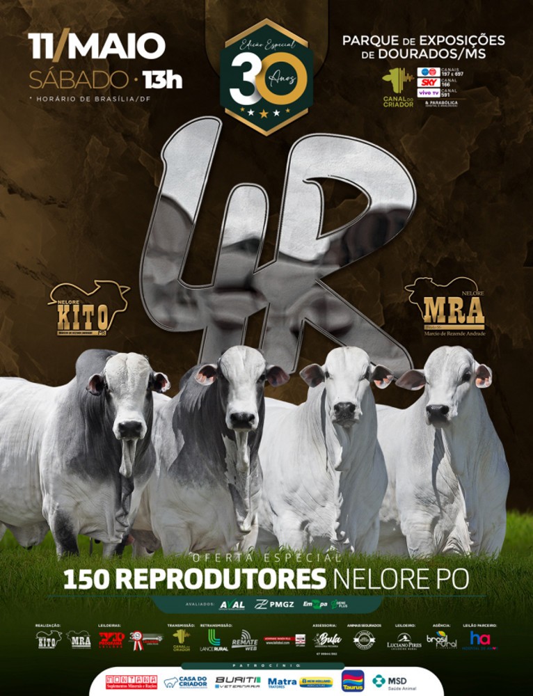 30ª edição do Leilão 4R conta com a oferta de 150 reprodutores Nelore PO 