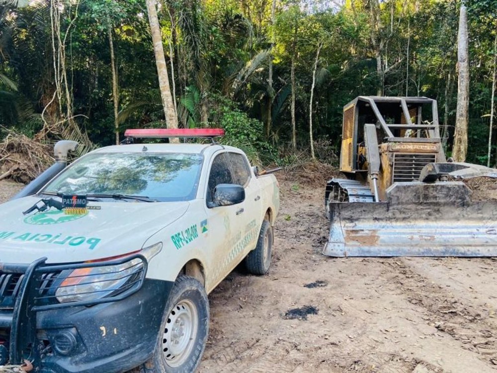 Desmatamento ilegal em Costa Marques equivale a 161 campos de futebol