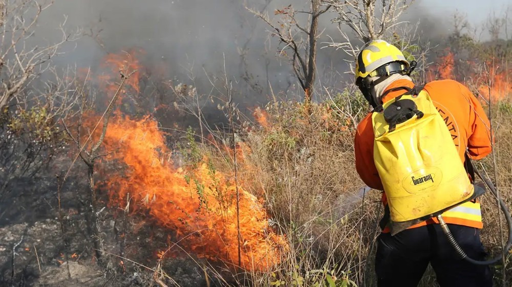 Campanha de prevenção e combate aos incêndios criminosos na Amazônia