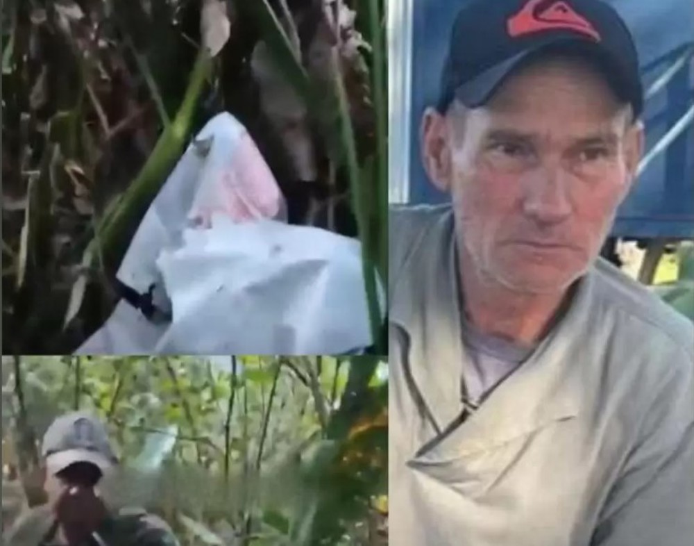 Onça ataca equipe após matar caseiro no Pantanal; veja vídeo