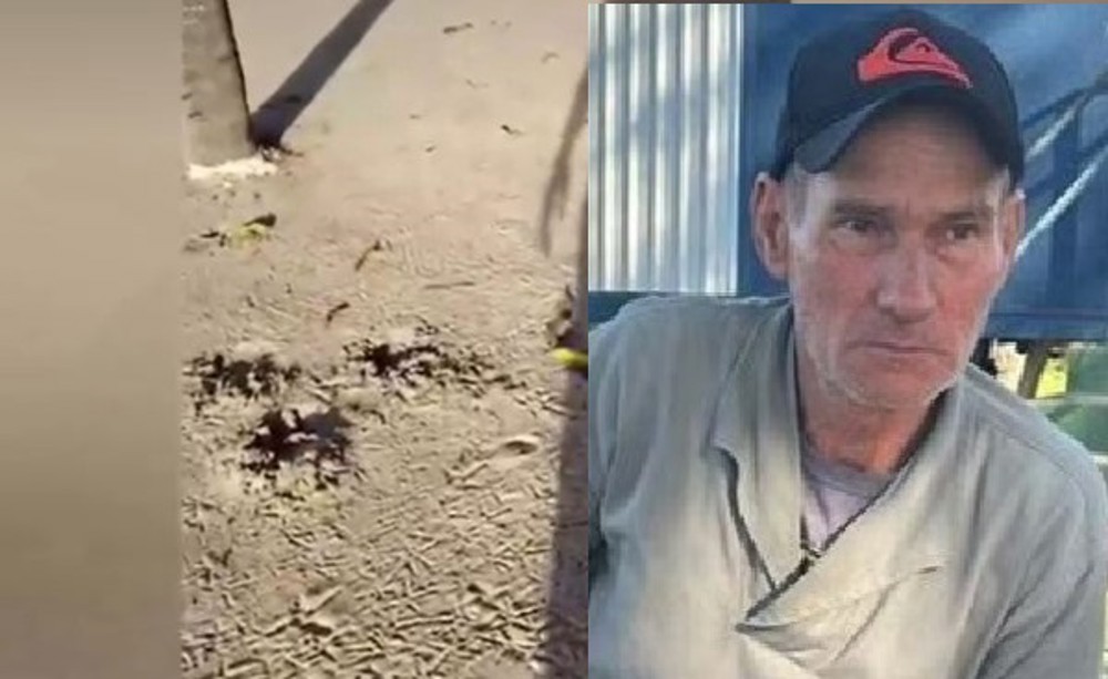 Onça ataca e mata homem em fazenda no Pantanal; vídeo mostra rastro de perseguição