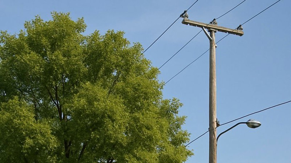 Energisa alerta sobre os riscos do plantio de árvores perto da rede elétrica