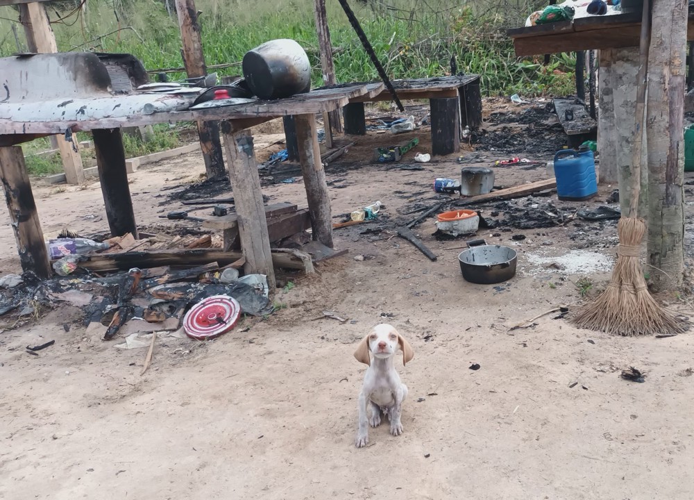 Entidades denunciam ação de pistoleiros em Machadinho D’Oeste