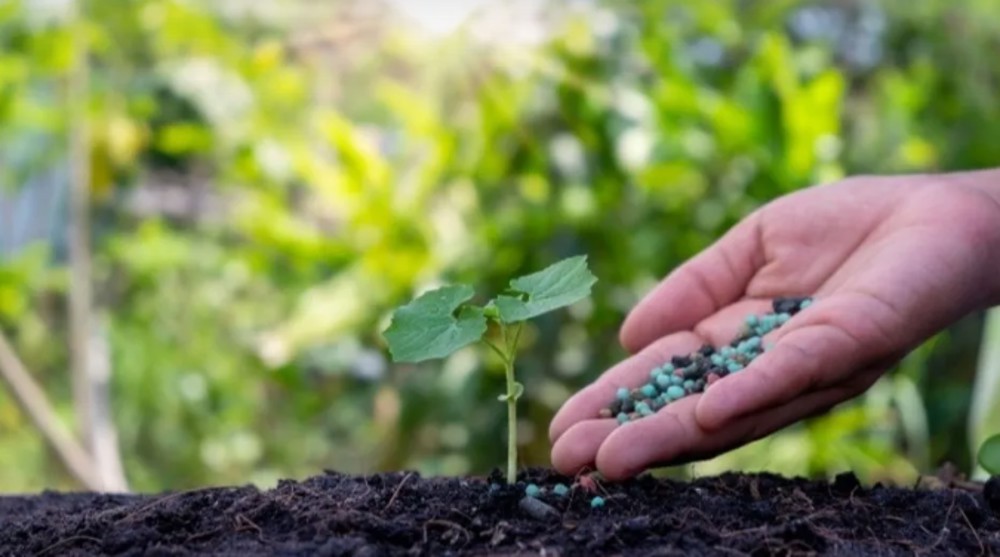 Importação de fertilizantes cresce 10,9% no 1º trimestre