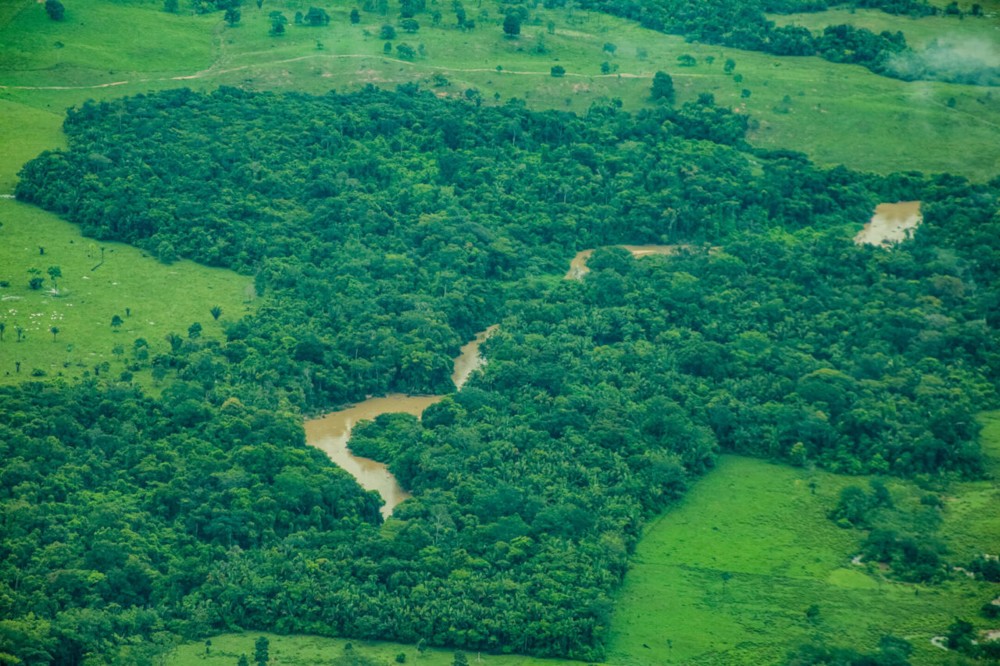 RO reduz desmatamento em mais de 40% entre 2024 e 2025, aponta plataforma nacional de alerta