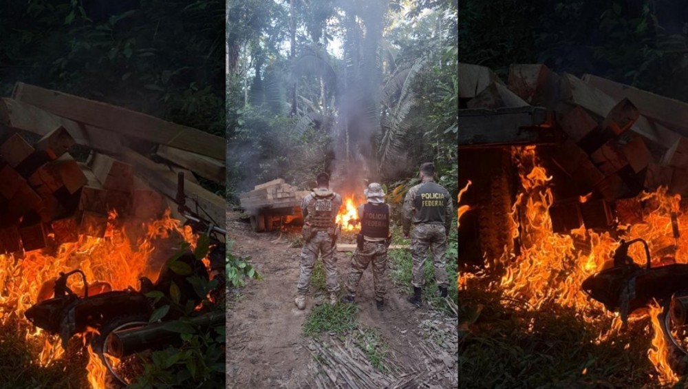 Polícia Federal, Funai e Ibama combatem desmatamento em Terra Indígena em RO