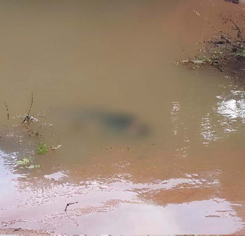 Homem morre afogado em Igarapé na BR-364