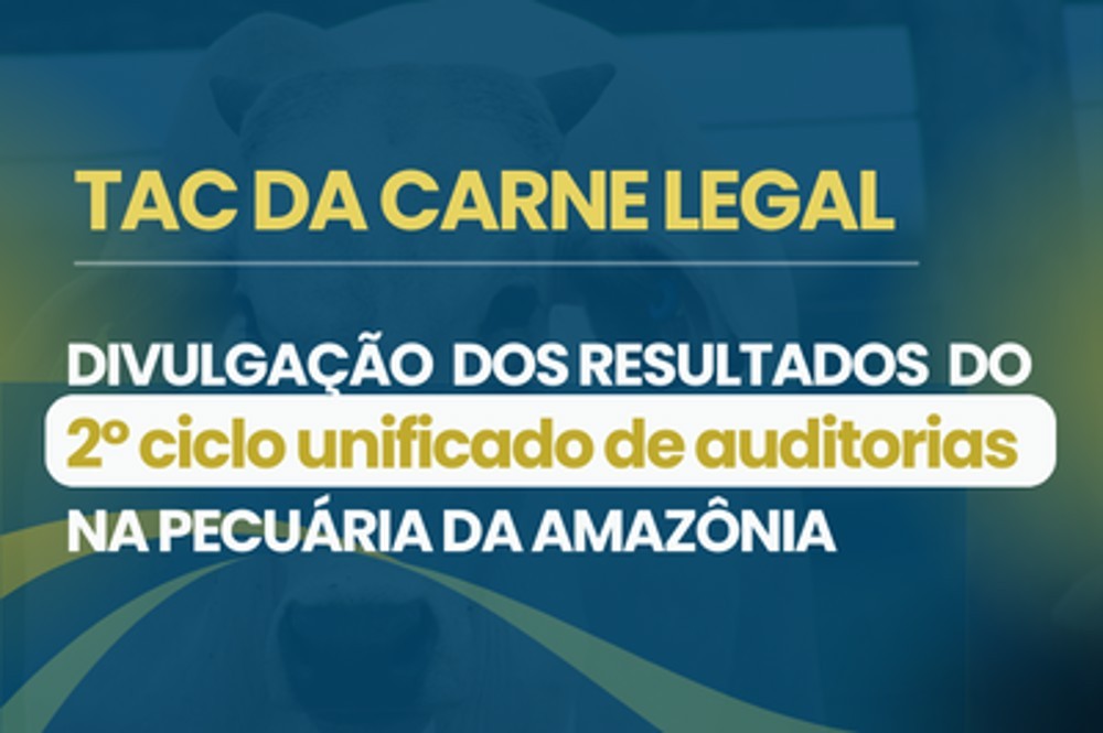 Novos resultados de auditorias na pecuária da Amazônia serão divulgados nesta quarta-feira (14)
