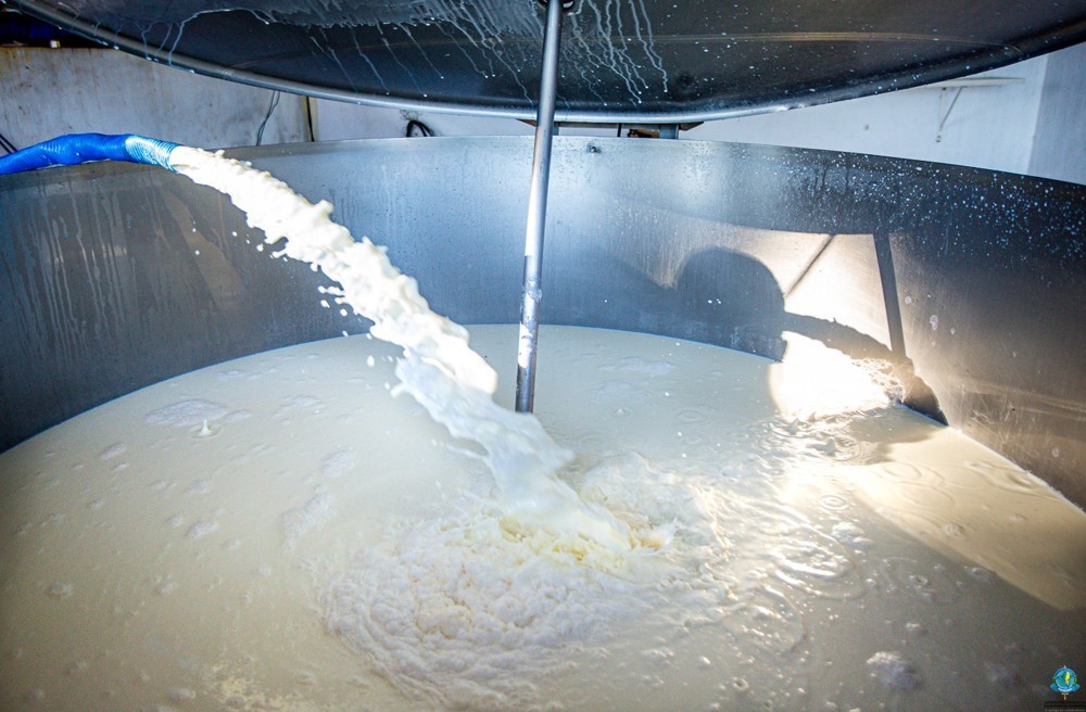 Implementos agrícolas impulsionam a produção de leite em Ouro Preto do Oeste