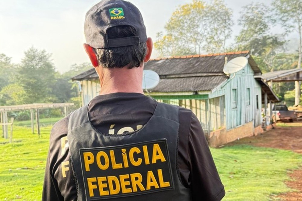 Polícia Federal combate a extração ilegal de madeira em Terras Indígenas em RO