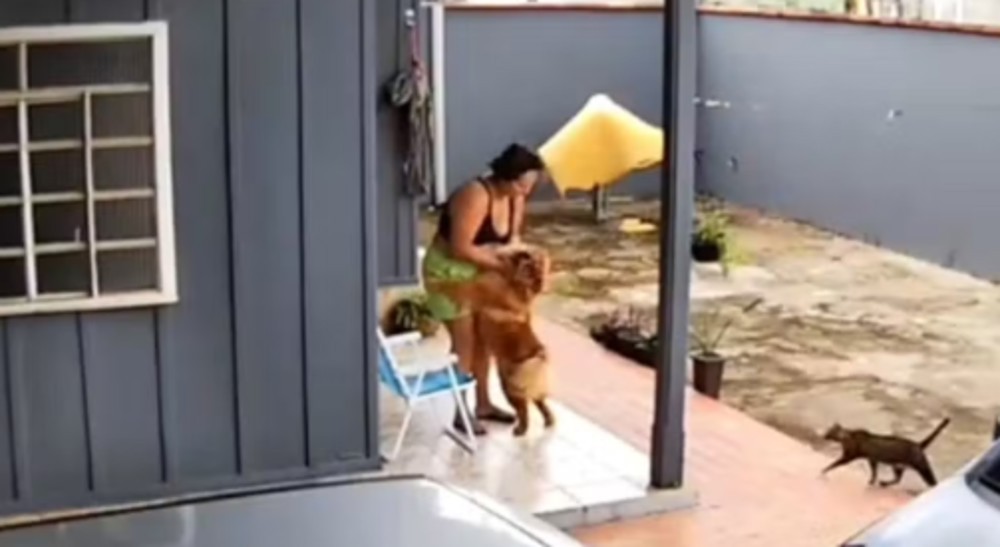 Após ser mordida no rosto por cão de estimação, mulher se prepara para cirurgia de reconstrução