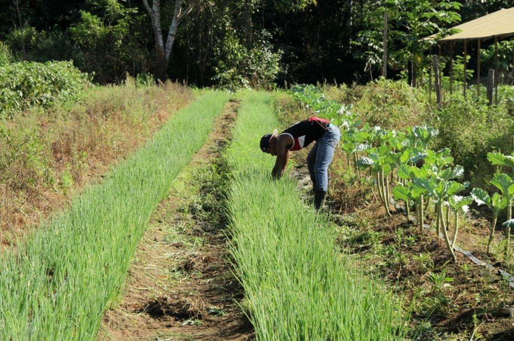 Alan Queiroz destina R$ 70 mil para aquisição de Implementos Agrícolas em Alvorada do Oeste
