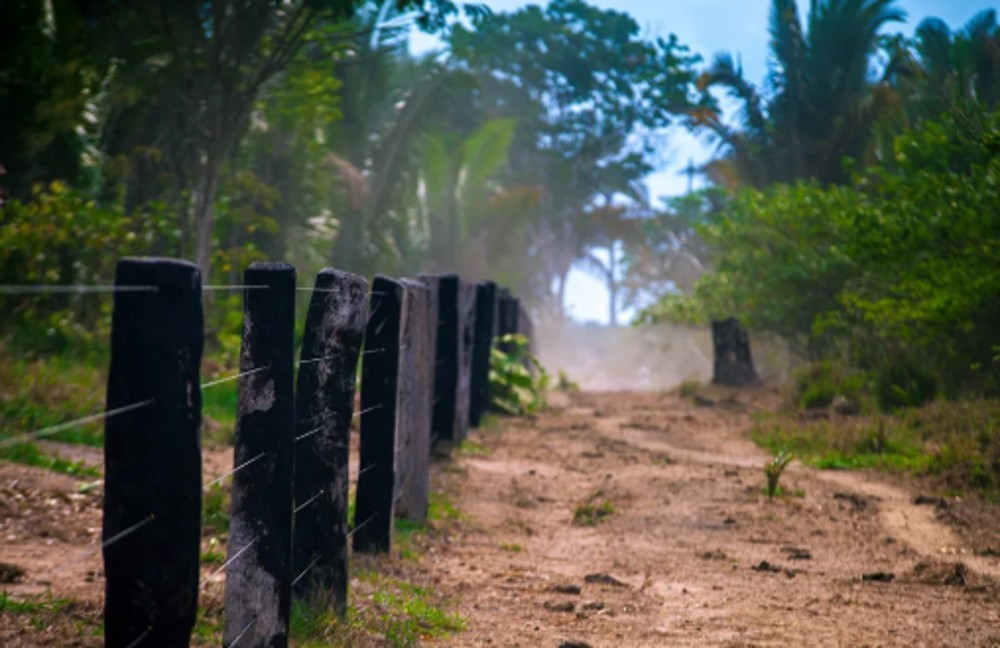 STF é acionado contra lei que 'perdoa' multas por crimes ambientais em Rondônia