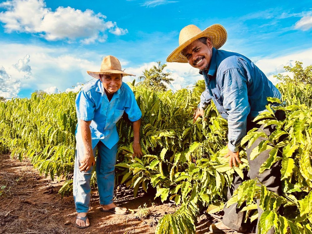 Ação parlamentar incentiva produção de café em Alto Paraíso