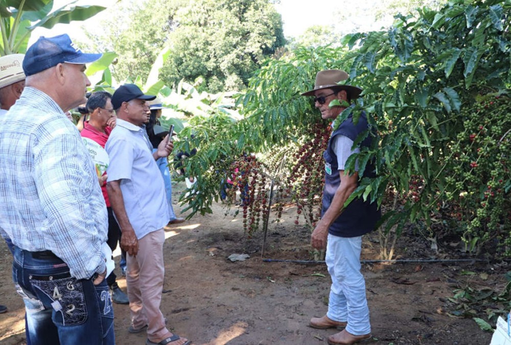 Experiência inovadora é preparada para os visitantes da 12ª Rondônia Rural Show Internacional