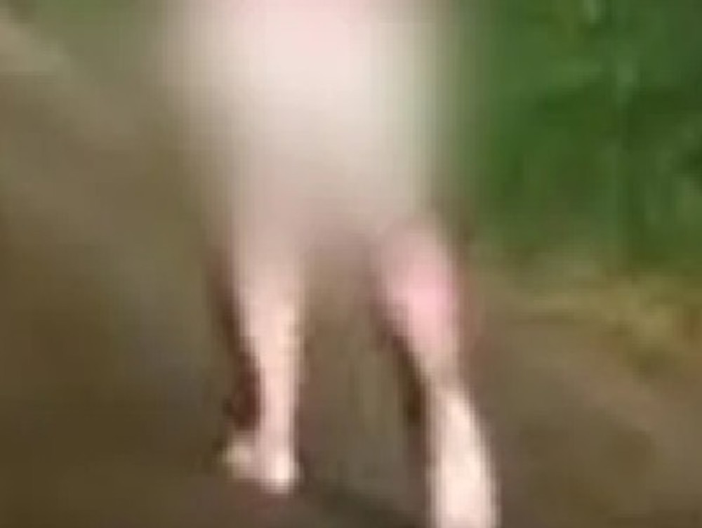 Após usar muita droga, mulher fica desorientada e sai nua às margens da BR-364