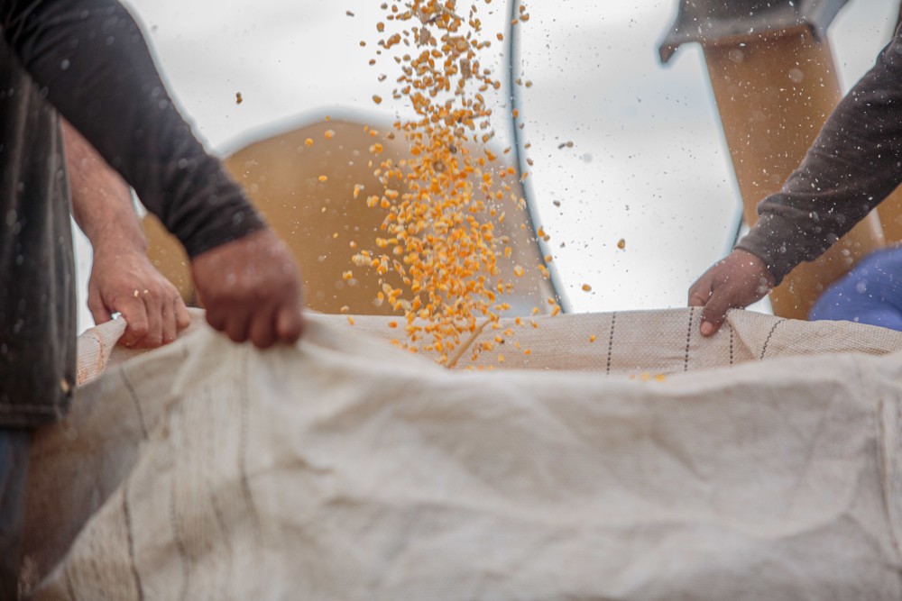 Associação Bom Sossego vive novo momento e projeta mais avanços para produtores de Guajará-Mirim