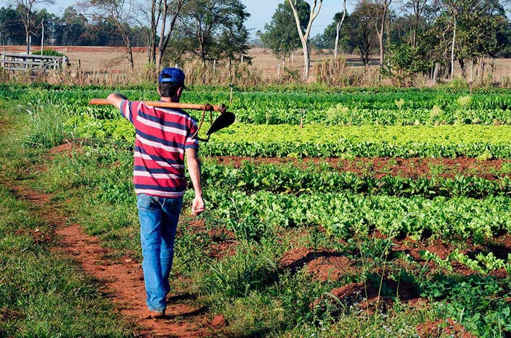 Delegado Lucas assina pedido para destinar R$ 1,4 milhão à agricultura familiar em Buritis