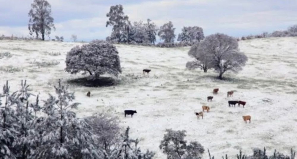 Inmet prevê neve pela primeira vez no ano nesta noite ou madrugada