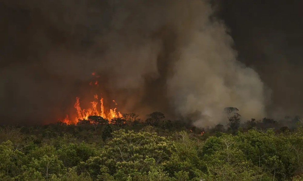 Câmara Federal aprova aumento de punição a quem provocar incêndios florestais