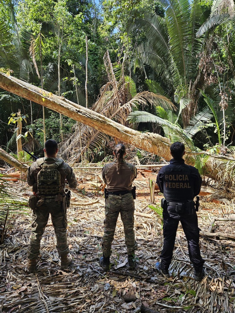 Polícia Federal deflagra operação contra crimes ambientais em Terra Indígena em Rondônia