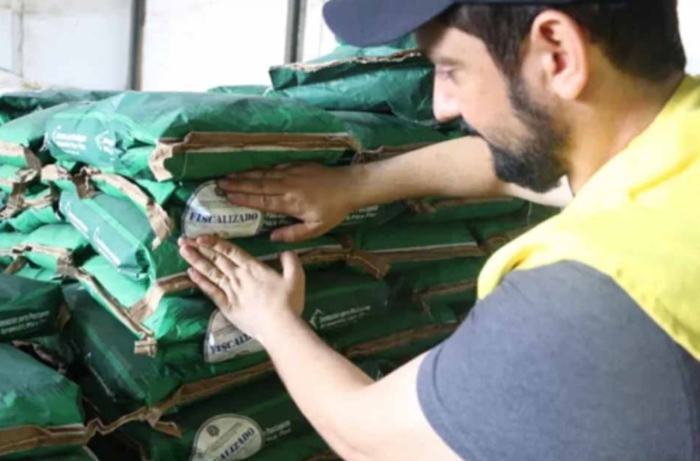 Governo de Rondônia mantém alerta sobre risco de sementes adulteradas para formação de pasto