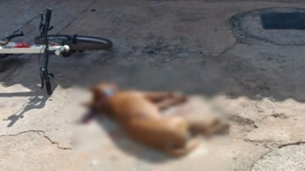 Policial atira em Pitbull que tentava atacar a filha em residência