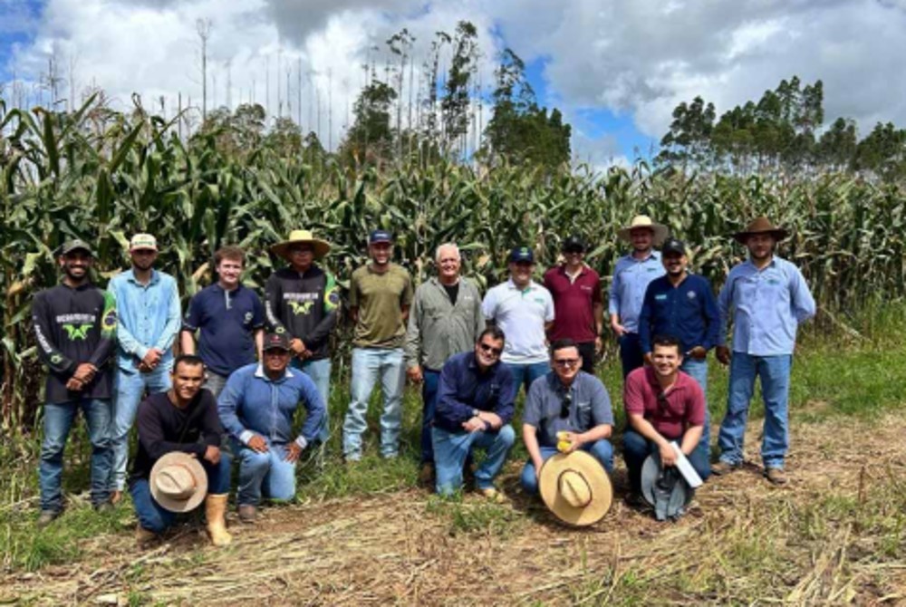 Professores e discentes do curso de Agronomia publicam artigos técnico-científicos