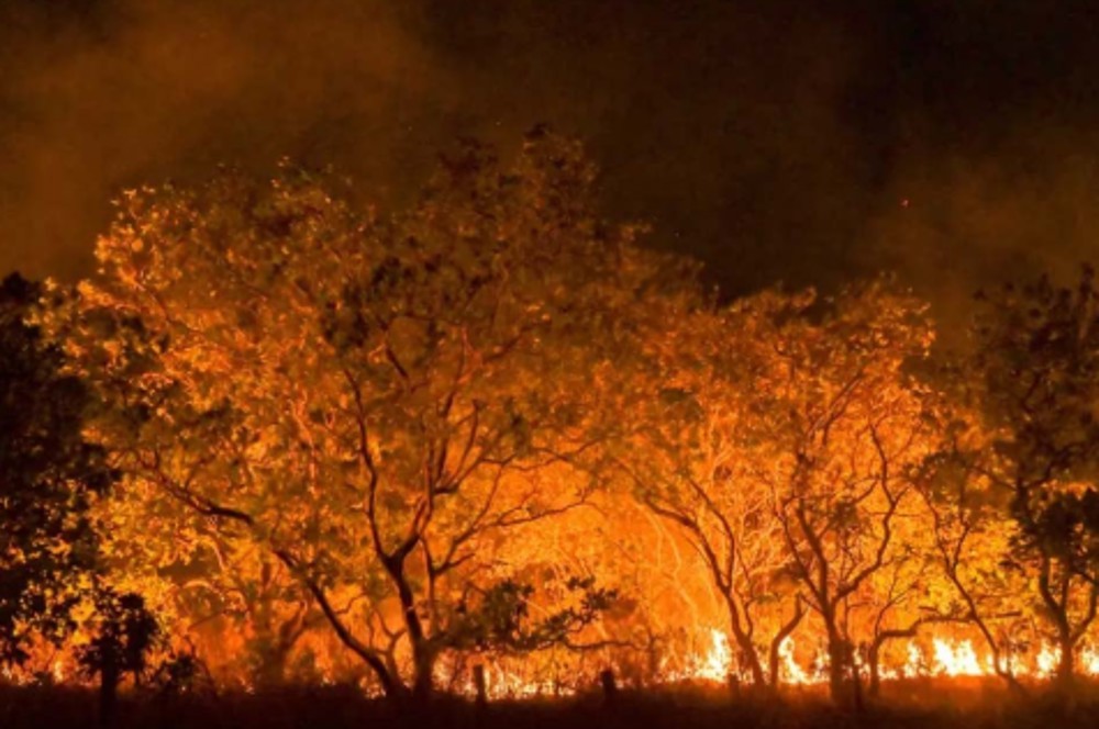Ações da Operação Incêndios 2025 da PF iniciam pelo Pantanal