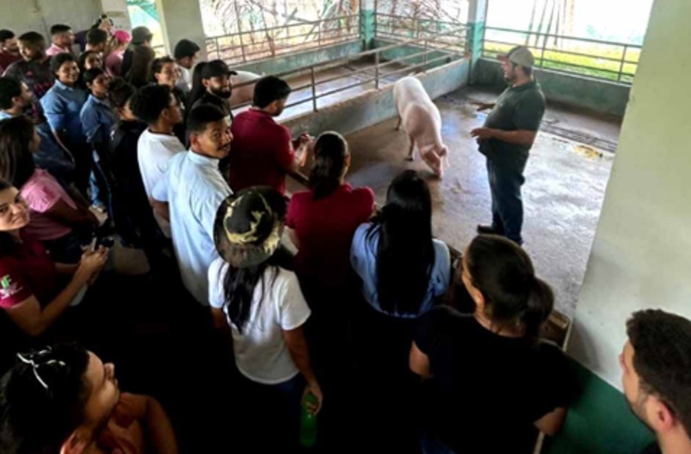 Setor de Suinocultura é reativado no Campus Ariquemes