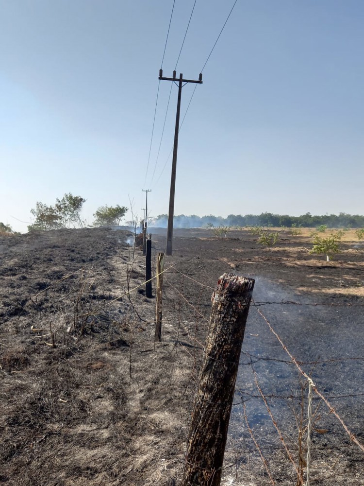 Queimadas podem provocar interrupção no fornecimento de energia