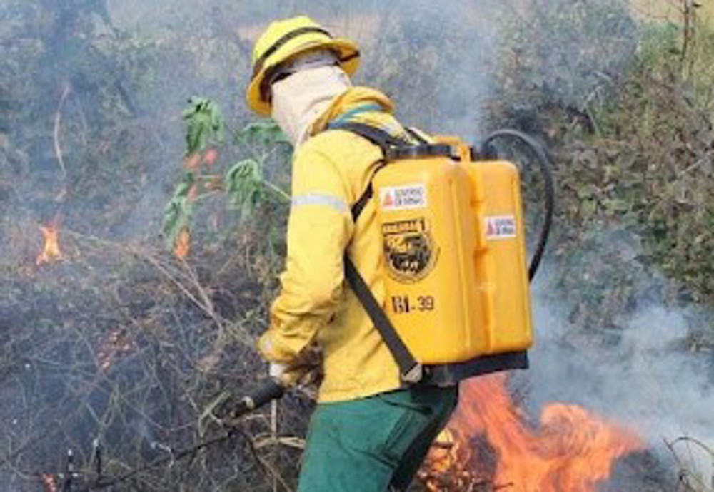 Corpo de Bombeiros abre 262 vagas para Brigadistas Temporários em Rondônia 