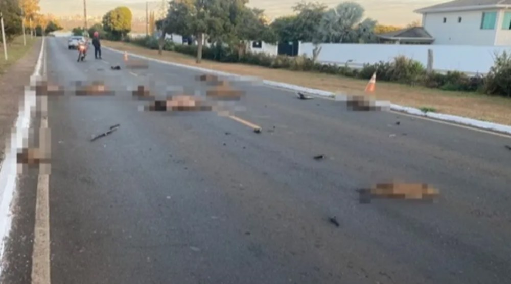Condutor de carreta foge após atropelar e matar 13 capivaras