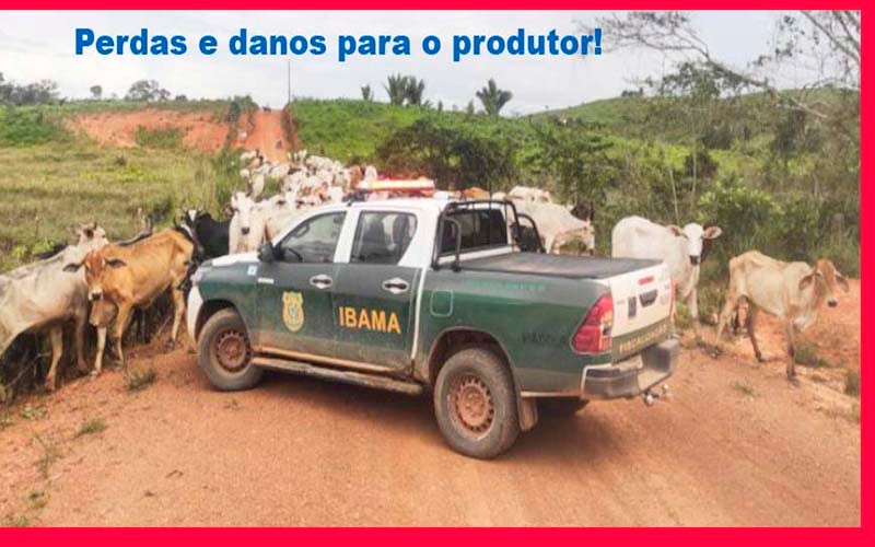 Grande perigo para Rondônia: Instrução normativa do IBAMA pode embargar áreas e tomar terras dos nossos produtores