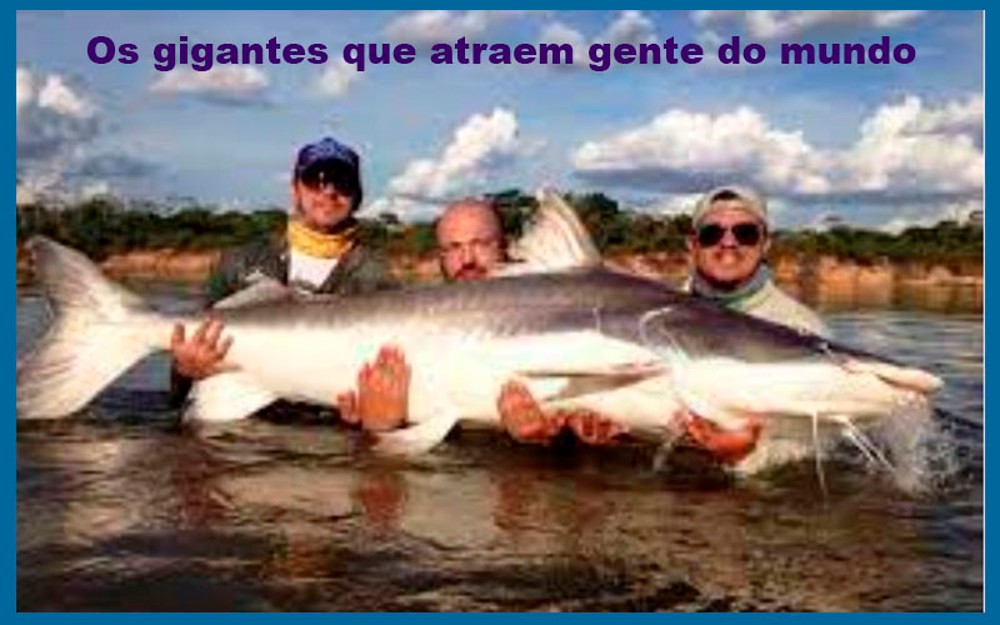 Mais de mil pescadores esportivos vêm a Rondônia, turismo cresce sem estrutura