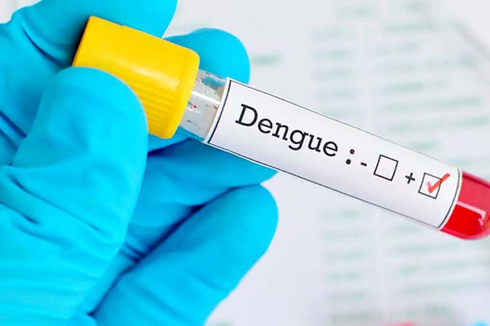 Número de casos de dengue em 2024 já é 305% maior que o ano de 2023