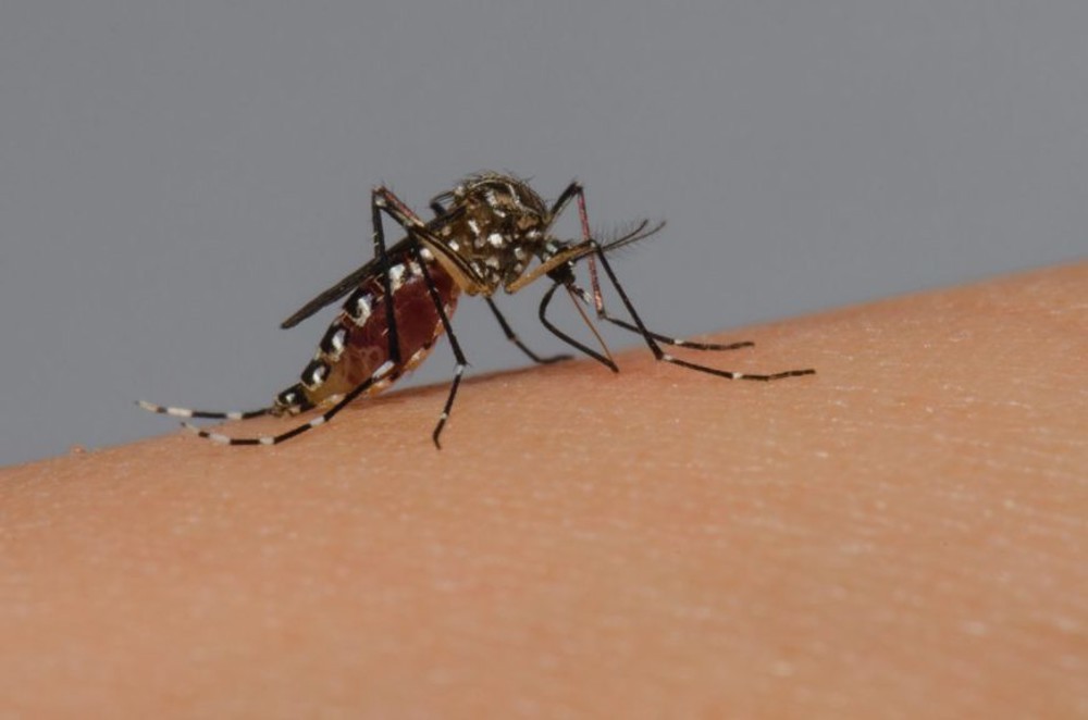 Primeira morte em RO por dengue é confirmada pelo Ministério da Saúde