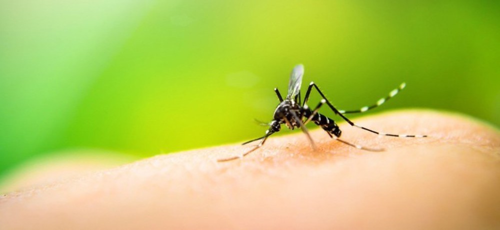 Dra. Taíssa solicita medidas ativas de combate a dengue em Rondônia