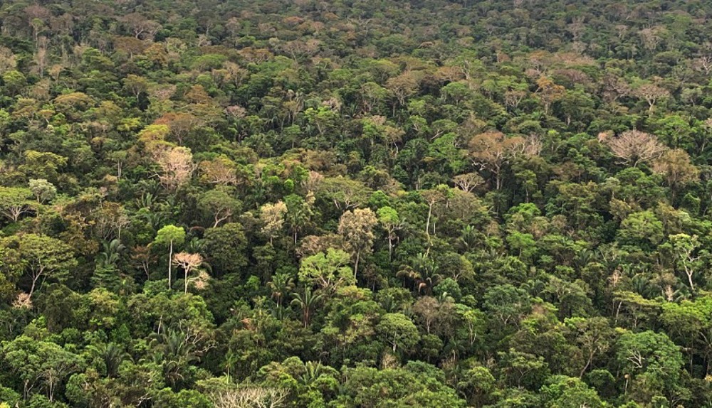MPRO ingressa com Ação Civil Pública contra envolvido no desmatamento de reserva 