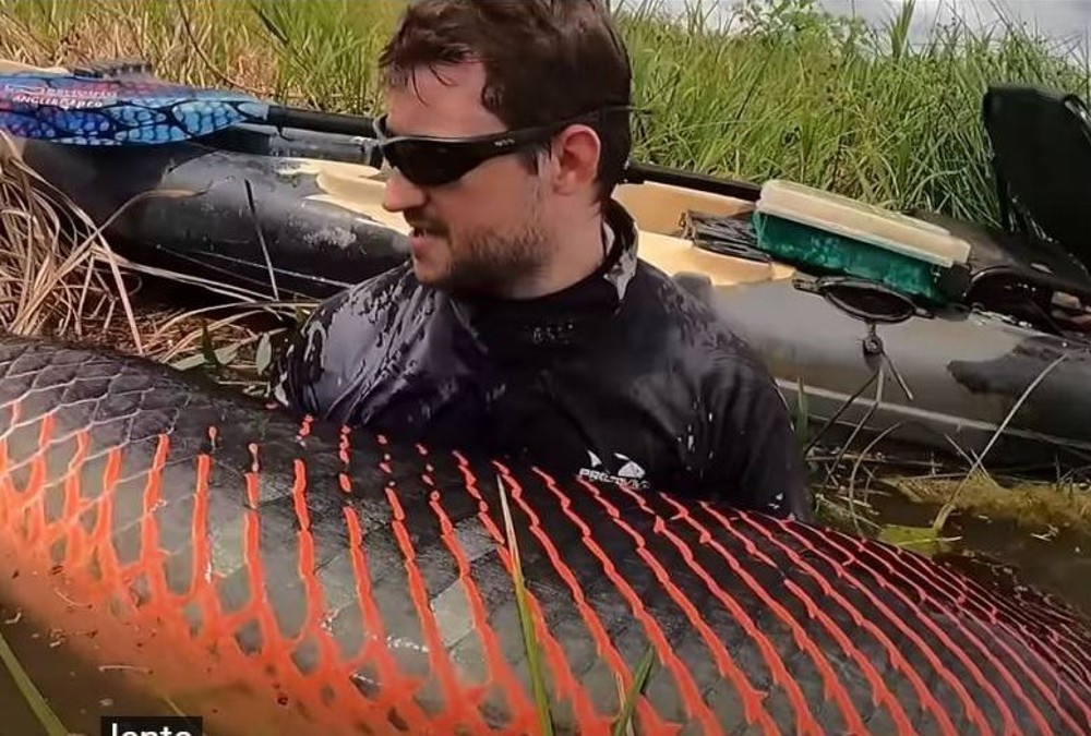 Pescador fisga pirarucu com mais de 2 metros e 130 quilos em Rondônia