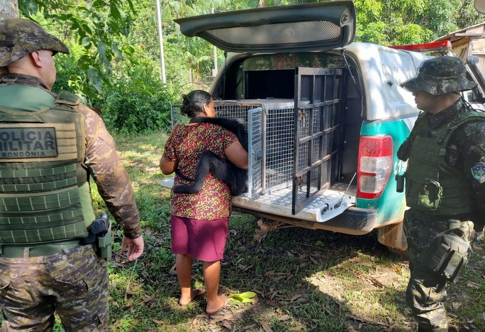 Resgate de macaco na zona rural de porto velho: ação conjunta de proteção à fauna