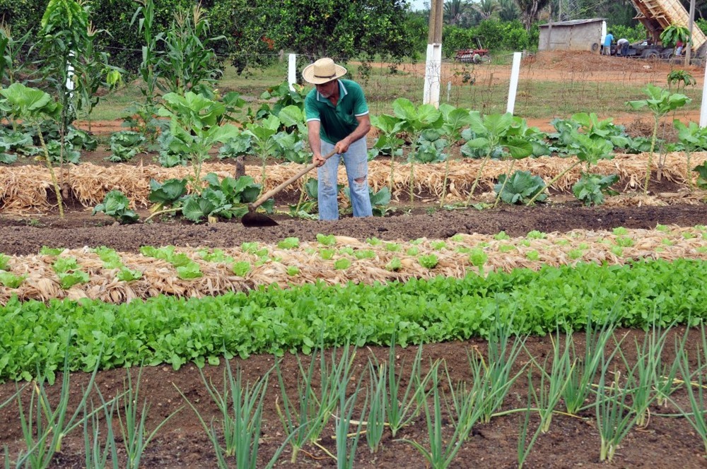 Dra. Taíssa solicita qualificação de agricultores para período de seca severa em Rondônia