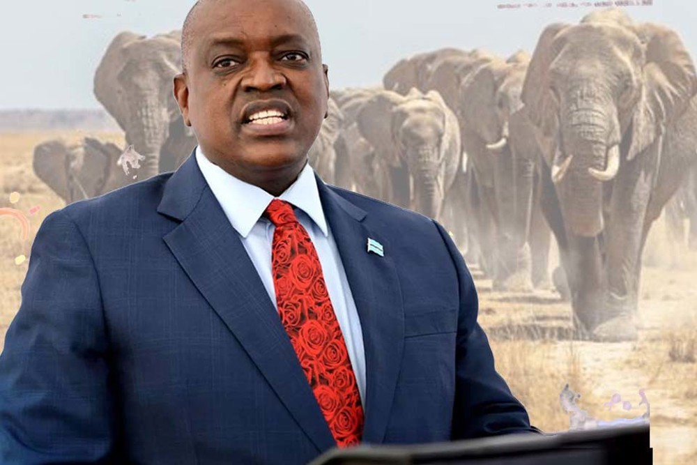 Presidente de Botsuana ameaça enviar 20 mil elefantes para a Alemanha