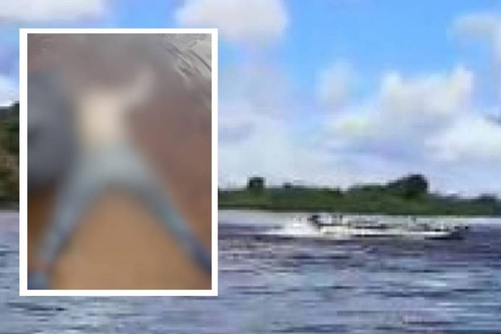Corpo de morador é encontrado boiando a 300 metros de onde se afogou no rio