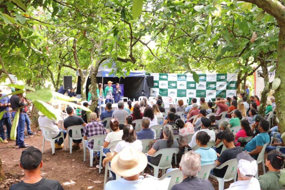 Com o melhor cacau do Brasil, Governo de Rondônia lança oficialmente o início da colheita no Estado