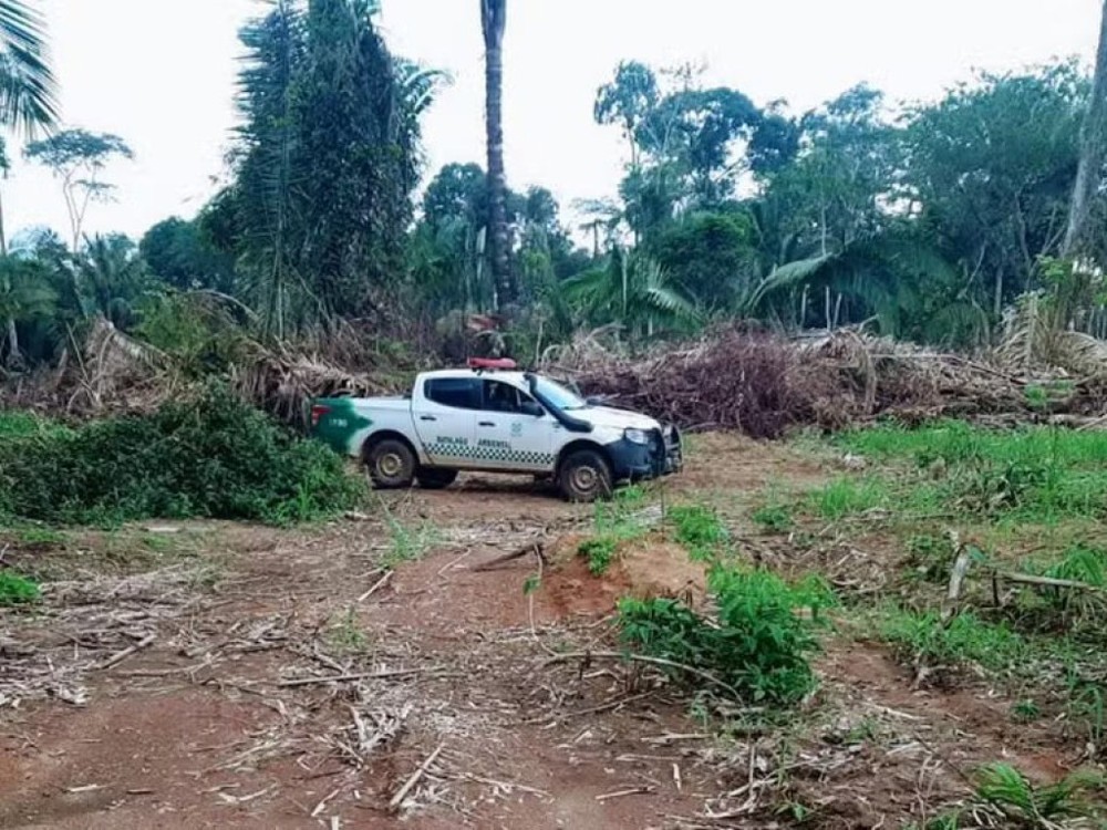 Homem é multado por desmatar 13 hectares de reserva em menos de um ano em Itapuã do Oeste