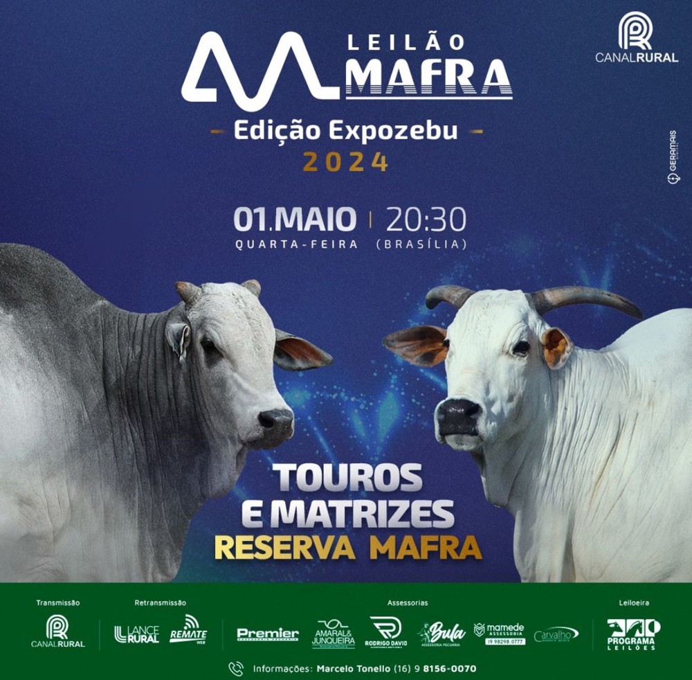 Leilão Mafra acontece em 1º de maio, durante a 89ª Expozebu